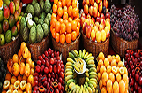 Fruit Exporters