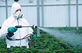 Pesticide Dealers